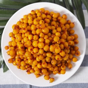 甘肅艾康沙棘制品有限公司