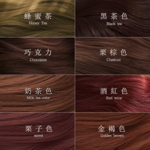 彩色12色自然時(shí)尚自己染代加工貼牌OEM/ODM