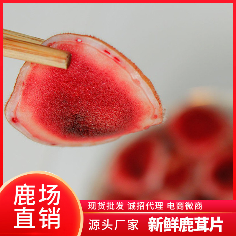 雙陽區(qū)仁和鹿產(chǎn)品經(jīng)銷處