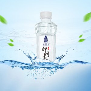 廣西木論天然食品有限公司