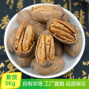 碧根果 長壽果山核桃整箱帶殼孕婦零食堅(jiān)果炒貨原料散裝大果5Kg可OEM/ODM代工