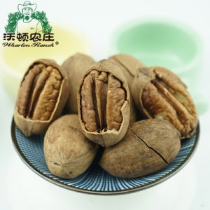 新貨碧根果生美國山核桃長壽果老人孕婦小孩零食堅(jiān)果炒貨干果原味貼牌OEM/ODM