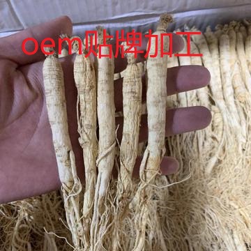 廣州拾仨行貿(mào)易有限公司