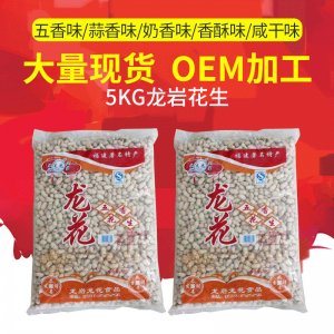 福建特產(chǎn)龍巖帶殼花生蒜香5kg 休閑零食炒貨堅果OEM代加工