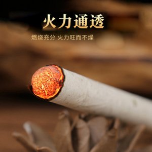 南陽(yáng)晟艾堂艾制品有限公司