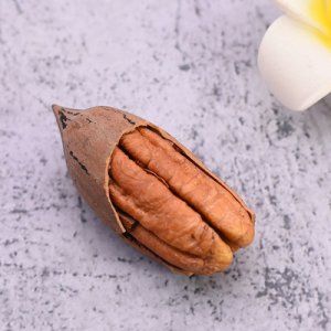 廬江大寅薄殼山核桃科技種植專業(yè)合作社