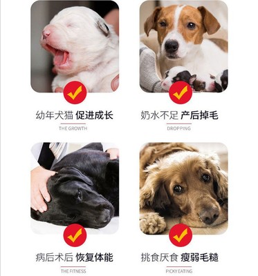 一站式OEM寵物狗狗營養(yǎng)膏代加工貼牌源頭工廠-預約可領樣品