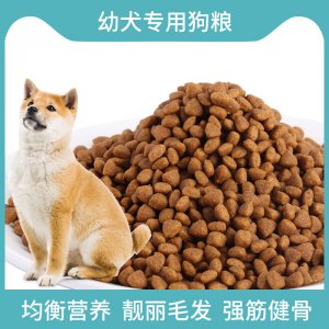 山東萊德寵物用品有限公司