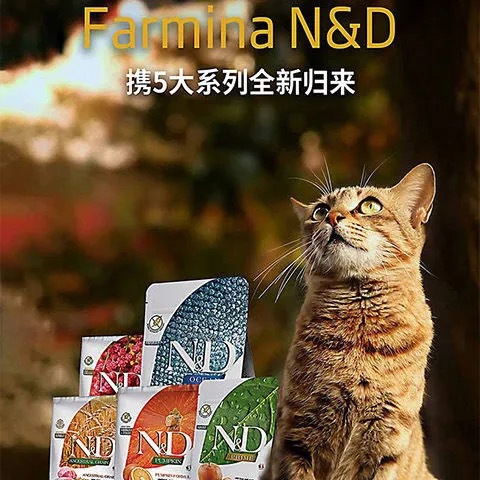 甜橙無谷成幼貓糧貼牌OEM/ODM