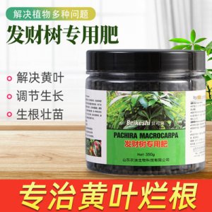 發(fā)財(cái)樹用肥料OEM代加工