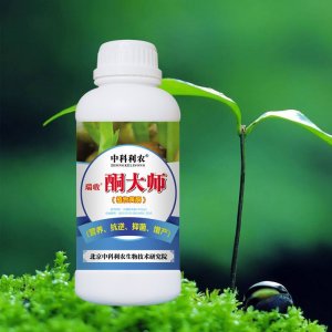 青島中科利農(nóng)光碳能量研發(fā)有限公司