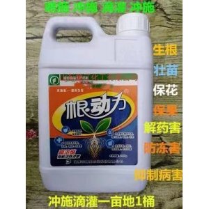 山東鑫江化工有限公司