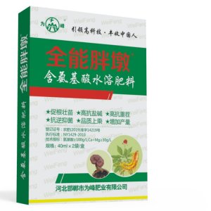 全能胖墩膨根1號(hào)力根藥材膨大增產(chǎn)劑代加工貼牌OEM/ODM