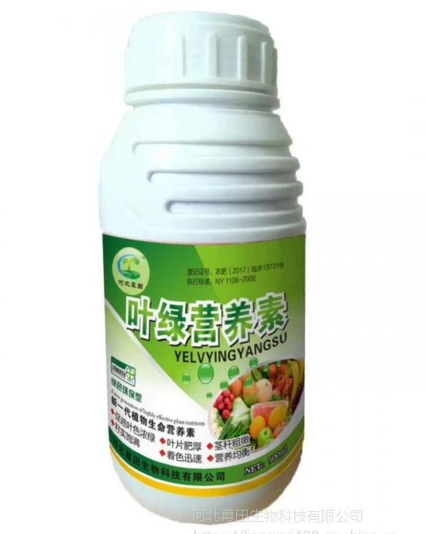 氮磷鉀藥材生根營(yíng)養(yǎng)液葉面肥代加工16項(xiàng)國(guó)家專利,十余年生產(chǎn)經(jīng)驗(yàn),免費(fèi)打樣免費(fèi)設(shè)計(jì)