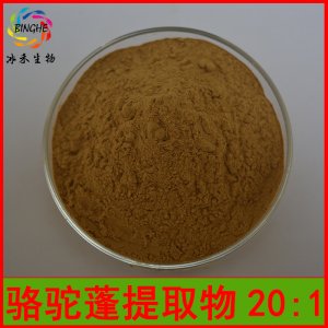 駱駝蓬提取物貼牌OEM/ODM