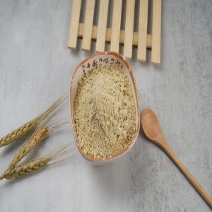小麥胚芽粉500克粗糧粉OEM代加工