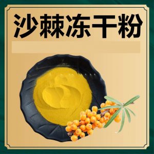 沙棘 凍干粉代加工貼牌OEM/ODM