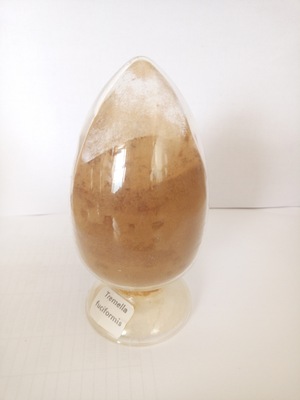 金針菇多糖提取物粉加工-金針菇多糖提取物粉oem代加工生產(chǎn)基地