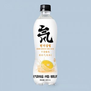 安慶元氣森林食品有限公司