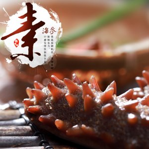 仿葷素海參刺參OEM代加工