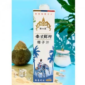 椰芝星（廣東）食品有限公司