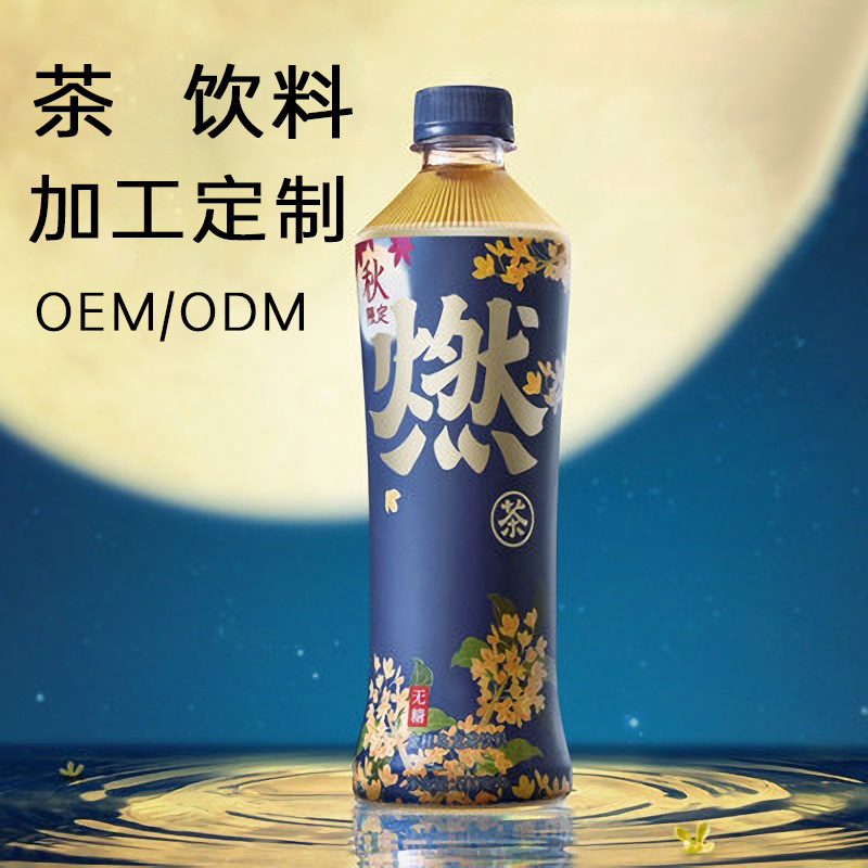 廣東康正食品有限公司