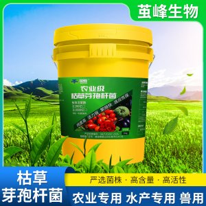山東繭蜂生物科技有限責(zé)任公司