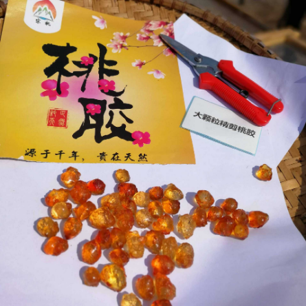 A級(jí)大顆粒珍珠桃膠OEM貼牌代工