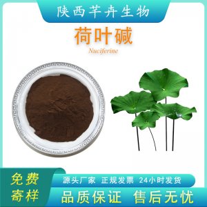 荷葉堿2% 荷葉提取物 另有荷葉堿98% 優(yōu)質(zhì)荷葉濃縮粉 廠家現(xiàn)貨