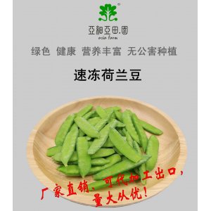 速凍荷蘭豆；出口品質(zhì)冷凍蔬菜；批發(fā)代加工(OEM)；工廠 產(chǎn)地直銷