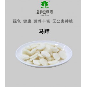 速凍馬蹄(荸薺)出口冷凍蔬菜.價格面議批發(fā)代加工OEM；工廠直銷